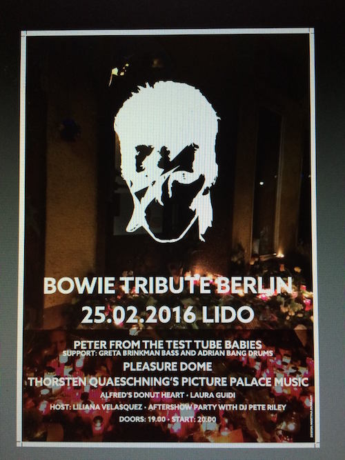 Bowie Tribute Berlin Show